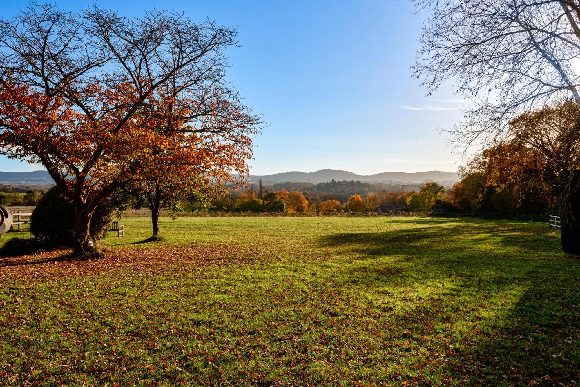 Appartamento Garden Flat Near Goodwood With Stunning Views Petersfield Esterno foto
