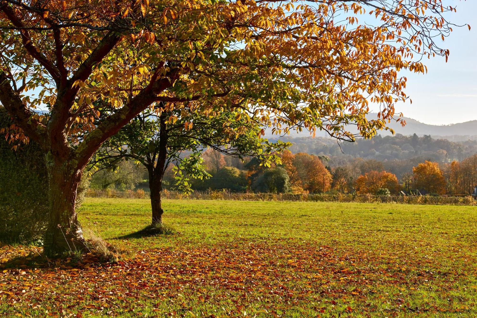 Appartamento Garden Flat Near Goodwood With Stunning Views Petersfield Esterno foto