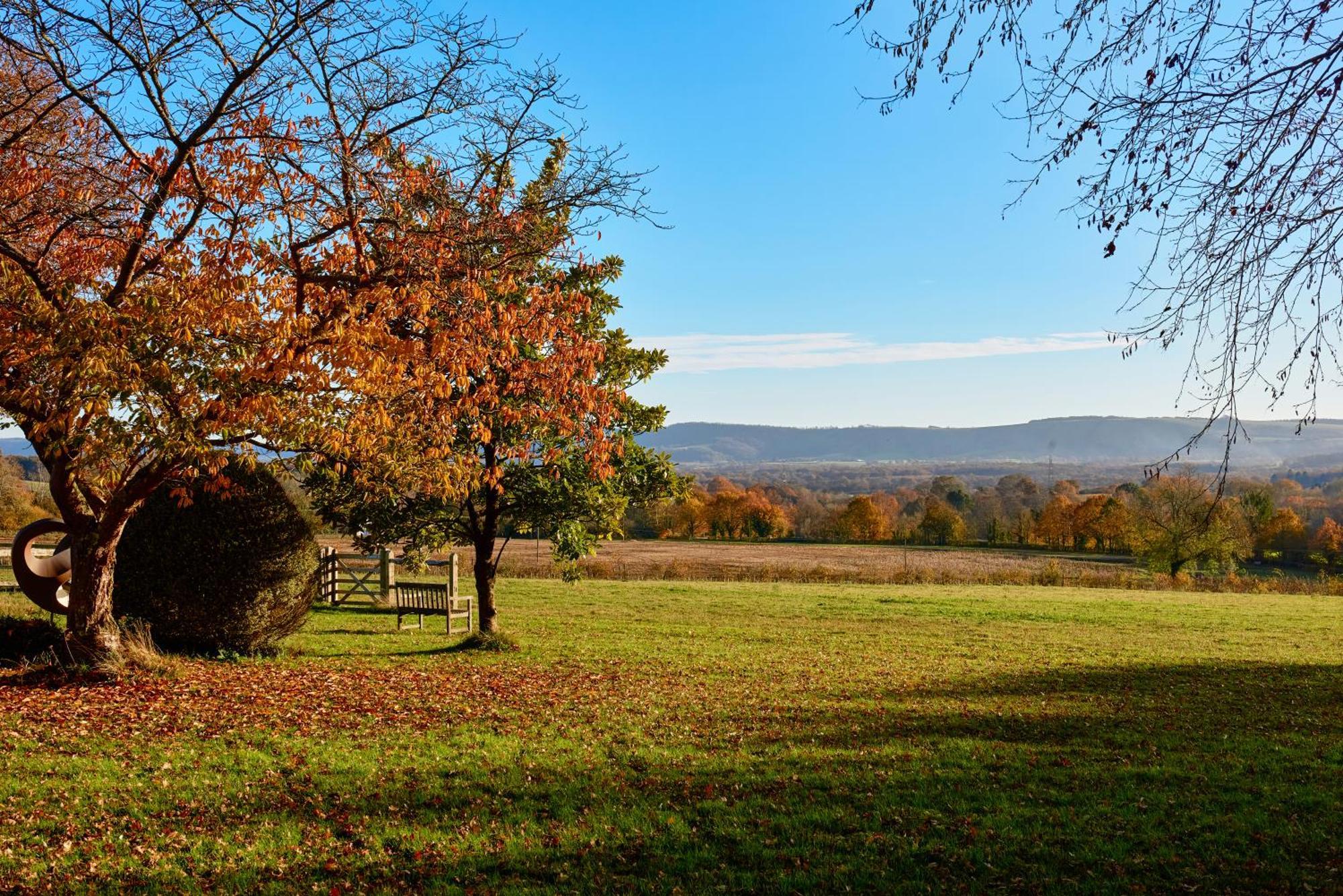 Appartamento Garden Flat Near Goodwood With Stunning Views Petersfield Esterno foto